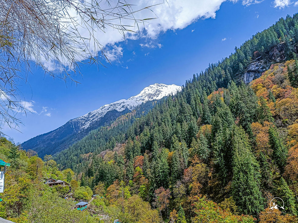 Kheerganga's Majestic peaks