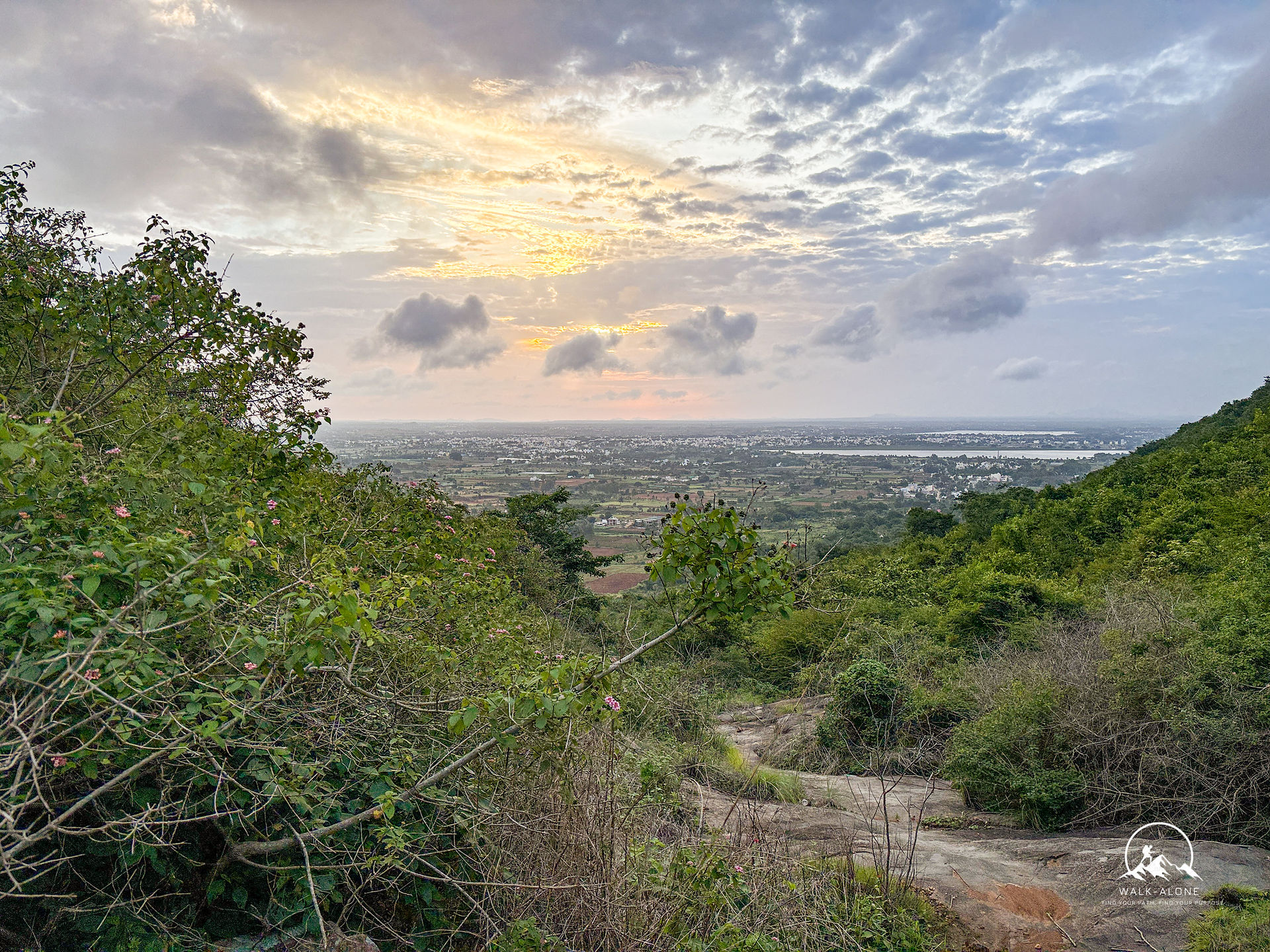 Freezing the perfect moment as the sun crowns the horizon in golden glory.          Ask ChatGPT
