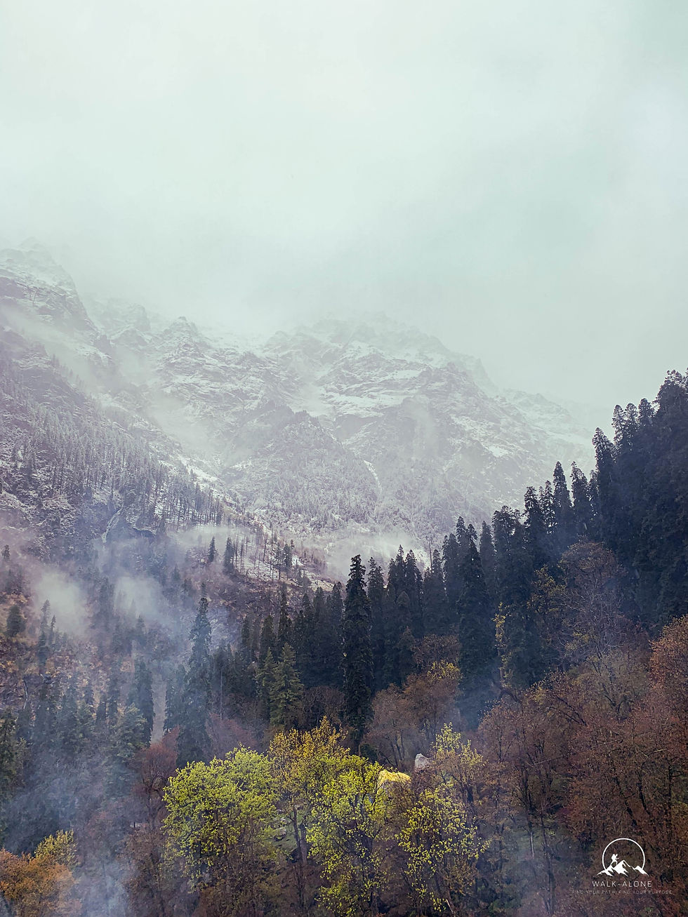 Magnificent Kheerganga Top Point
