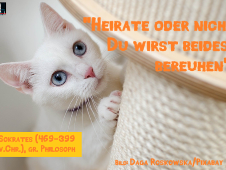 Claudias philosophisches Katzenbild