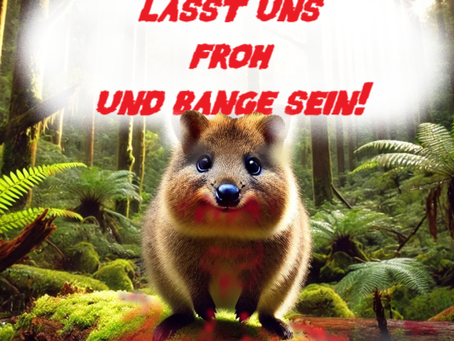 Claudias Adventsgeschichte 2024
