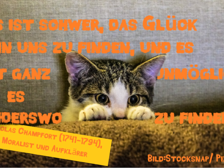 Claudias philosophisches Katzenbild