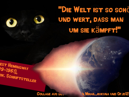 Claudias philosophisches Katzenbild