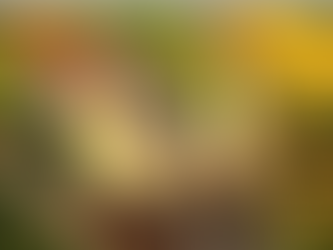 Claudias philosophisches Katzenbild