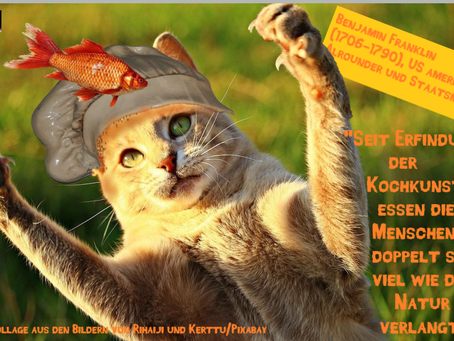 Claudias philosophisches Katzenbild