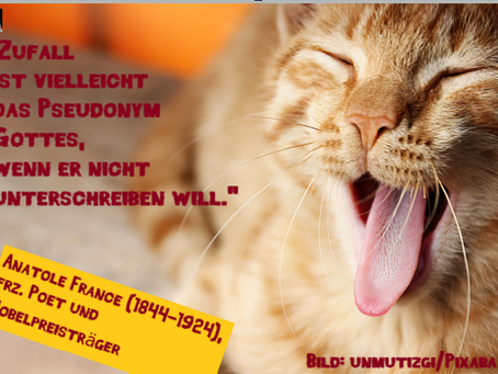 Claudias philosophisches Katzenbild