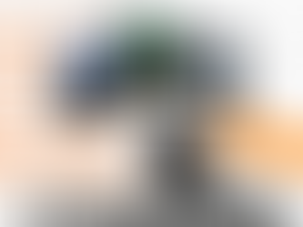 Claudias philosophisches Katzenbild