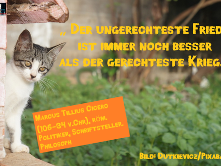 Claudias philosophisches Katzenbild