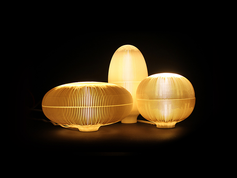 _0021_Mushroom-Lights.png