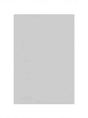 RECTUNGULAR IMAGE BACKGROUND.png