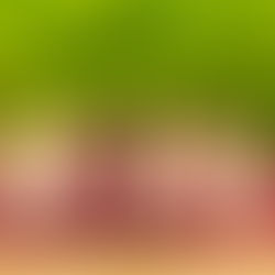 Compra carnes online en Bogotá: calidad y comodidad