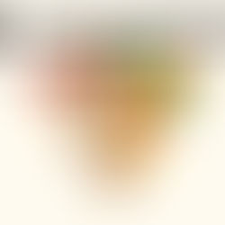 Nueva pirámide nutricional 2026