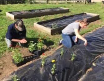 Riverview Farm 17.webp