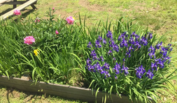 Riverview Farm 11.webp