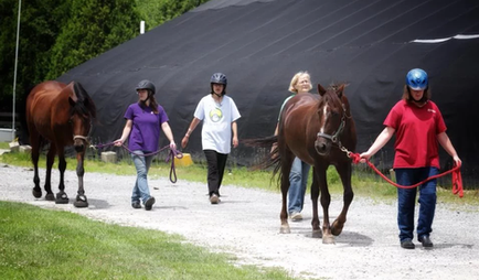 Riverview Farm 12.webp