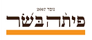 פיתה בשר.png