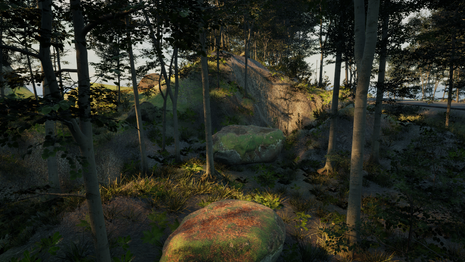 Getting started with PCG