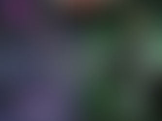 Why I Have Two Journals 