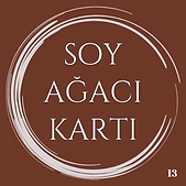 Siyah Beyaz Yuvarlak Oto Yıkama Logo (73).png