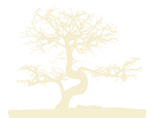 zb logo new - blured - tan on trans.png