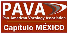 logo pava mx horizontal.jpg