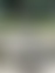 Escultura "Garça", Parque Jardim da Luz, São Paulo, Brasil