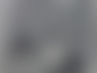 O Amigo da Onça 14 - Péricles