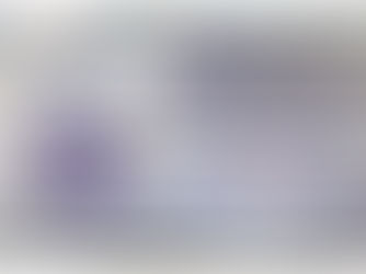 Passe fracionado unificado, Transerp, Ribeirão Preto, São Paulo, Brasil