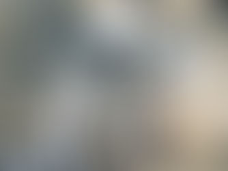 Aspectos da Loja Garra do Leão, Comercial Futebol Clube, Ribeirão Preto, São Paulo, Brasil