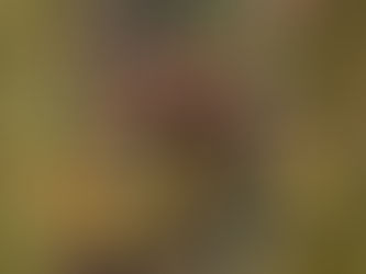 Vaso de flores (Vaso de flores) - Anita Malfatti