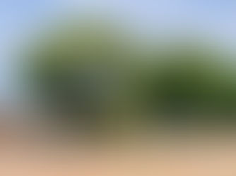 Praça Itamaraty, Cravinhos, São Paulo, Brasil