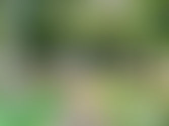 Imagens da Praça Pastor Rubens Lopes, São Paulo, Brasil