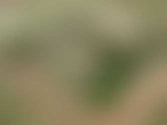 Vista da TV Ribeirão, 1982, Ribeirão Preto, São Paulo, Brasil