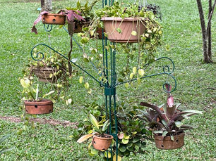 Vasos de plantas, Jardim Botânico de São Paulo, Brasil