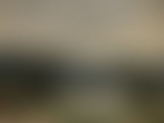 Cores da restinga (Cores da restinga) - Oscar Tecídio