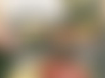 Propaganda "Óleo A Dona", 1953, Swift, Brasil