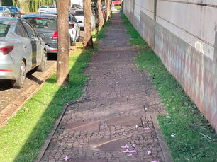 Limpeza de calçada com pedra portuguesa, Ribeirão Preto, São Paulo, Brasil