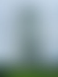 Edifício Cidade de Vancouver, Distrito de Bonfim Paulista, Ribeirão Preto, São Paulo, Brasil