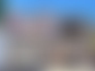 Imóvel antigo 56, Rua Henrique Dumont, Jd. Mosteiro, Ribeirão Preto, São Paulo, Brasil