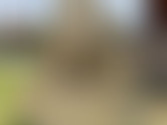 Monumento ao Motoqueiro, 2025, Ribeirão Preto, São Paulo, Brasil