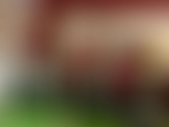 Imagens do Museu do Futebol e Esportes de Araraquara "Vicente Henrique Baroffaldi", Arena da Fonte Luminosa, Araraquara, São Paulo, Brasil
