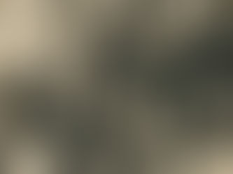 Fotógrafos lambe-lambe, Passeio Público, Curitiba, Paraná, Brasil