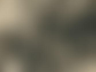 Fotógrafos lambe-lambe, Passeio Público, Curitiba, Paraná, Brasil