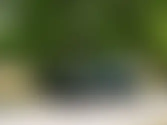 Aston Martin DB2/4 1954, Inglaterra