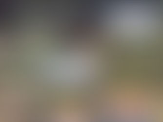 Propaganda "Azeitona Verde Vega", J. Alves Veríssimo S/A, Brasil