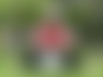 Monumento Rotary Club, Praça Jacob Dubena, Interlagos, São Paulo, Brasil