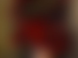 Vaso de porcelana com rosas vermelhas (Vaso de porcelana com rosas vermelhas) - Romualdo Montor