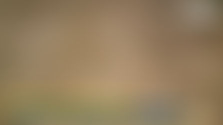 Piso original do Palácio Rio Branco / Prefeitura Municipal de Ribeirão Preto, Ribeirão Preto, São Paulo, Brasil
