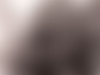 Biblioteca Pública Municipal, 1939, São Paulo, Brasil