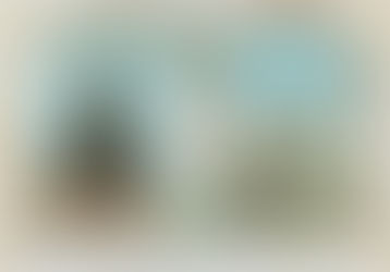 "Verdadeiro retrato de Nossa Senhora da Conceição Aparecida", Brasil 